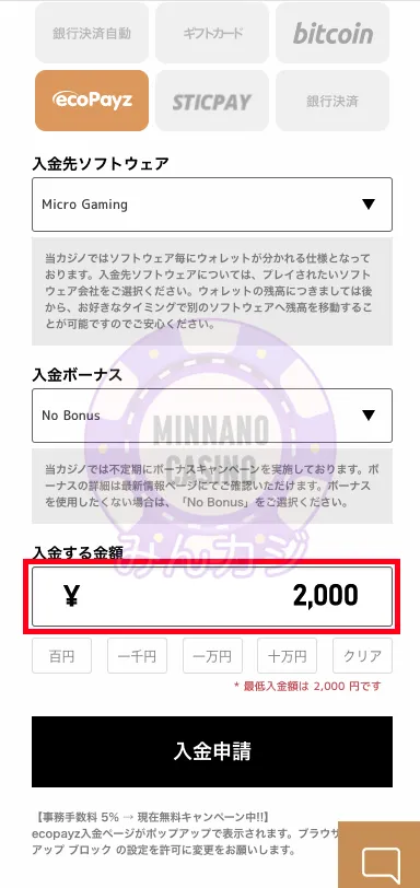 エルドアカジノ（ELDOAH）Payz（旧ecoPayz）決済の入金方法