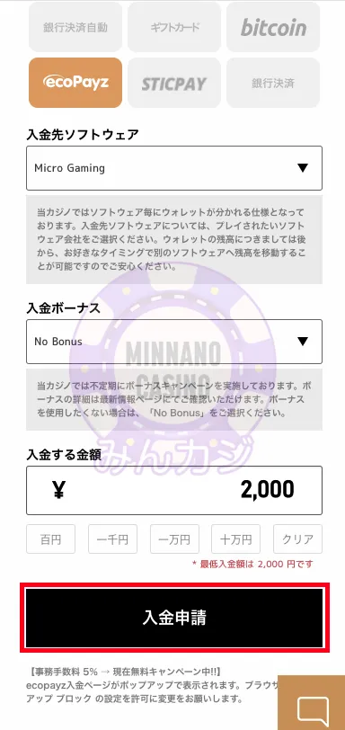 エルドアカジノ（ELDOAH）Payz（旧ecoPayz）決済の入金方法