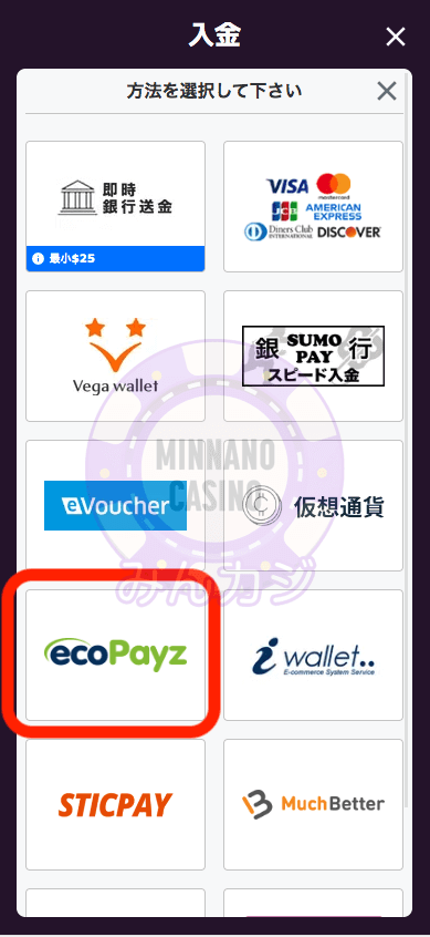 エコペイズ(ecoPayz)での入金方法