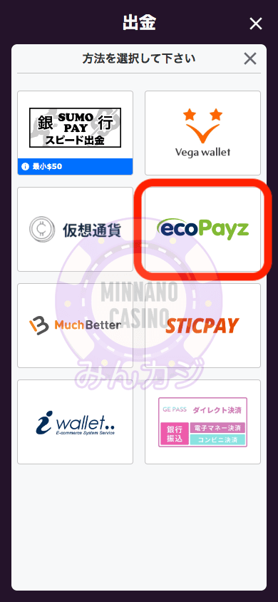 エコペイズ(ecoPayz)での出金方法