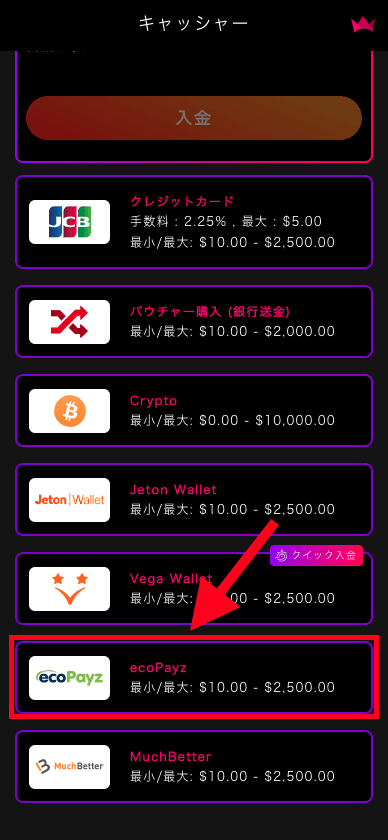 インターカジノ（InterCasino）のecoPayzでの入金方法