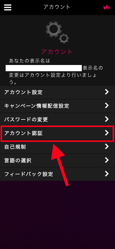 インターカジノ（InterCasino）のアカウント認証