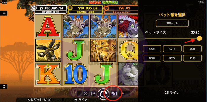 メガムーラー(Mega Moolah)の遊び方