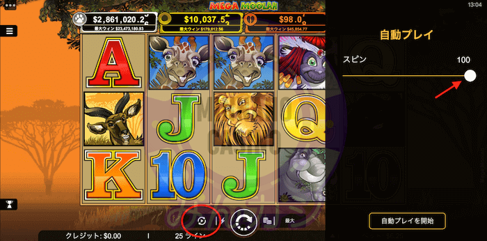 メガムーラー(Mega Moolah)の遊び方