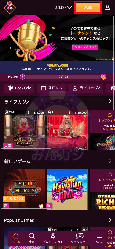 ラッキーニッキー（LuckyNiki） の入金方法について