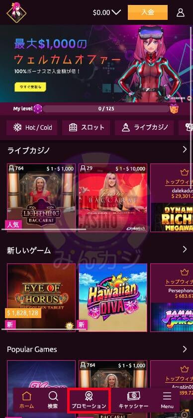ラッキーニッキー（LuckyNiki） の入金方法について