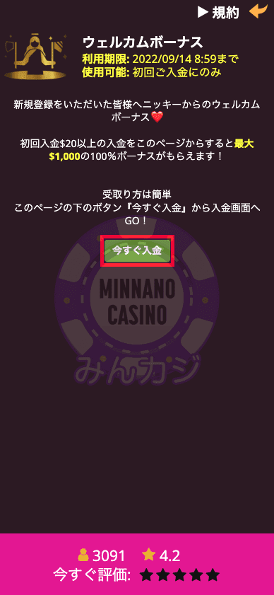 ラッキーニッキー（LuckyNiki） の入金方法について