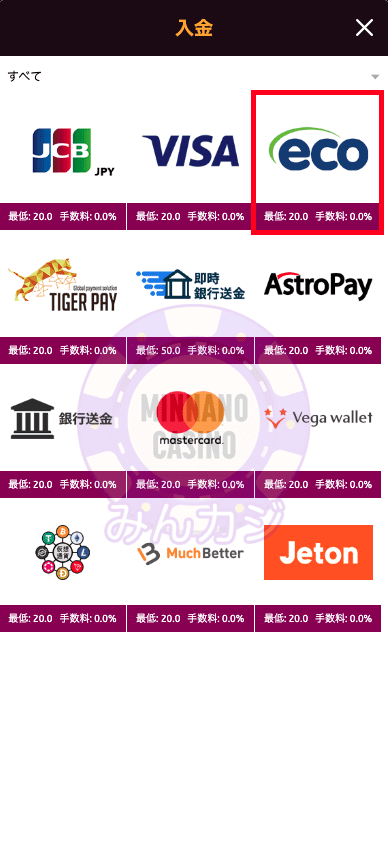 ラッキーニッキー（LuckyNiki） ecoPayzでの入金方法について