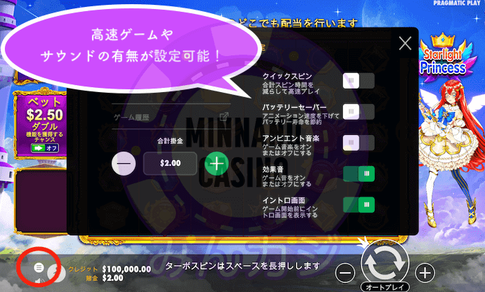 スターライト・プリンセス(Starlight Princess)の遊び方 - その他の設定