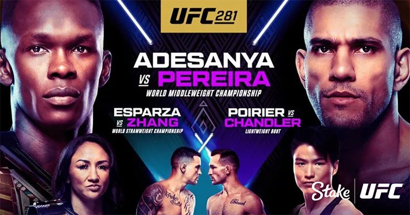 ステークカジノ(Stake)『UFC』とスポンサー提携