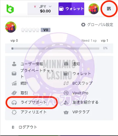 BC.GAME（ビーシーゲーム）サポートの問い合わせ方法
