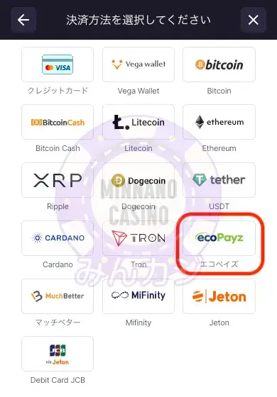 ビットスターズ（BitStarz）エコペイズ（ecoPayz）入金の流れ