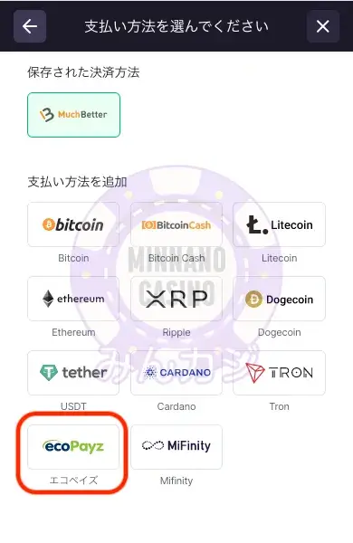 ビットスターズ（BitStarz）エコペイズ（ecoPayz）での出金の流れ