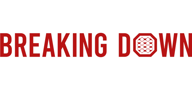 ブレイキングダウン(BREAKING DOWN)