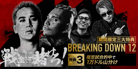 BeeBet(ビーベット)格闘技祭 ブレイキングダウン特別プロモーション開催中!
